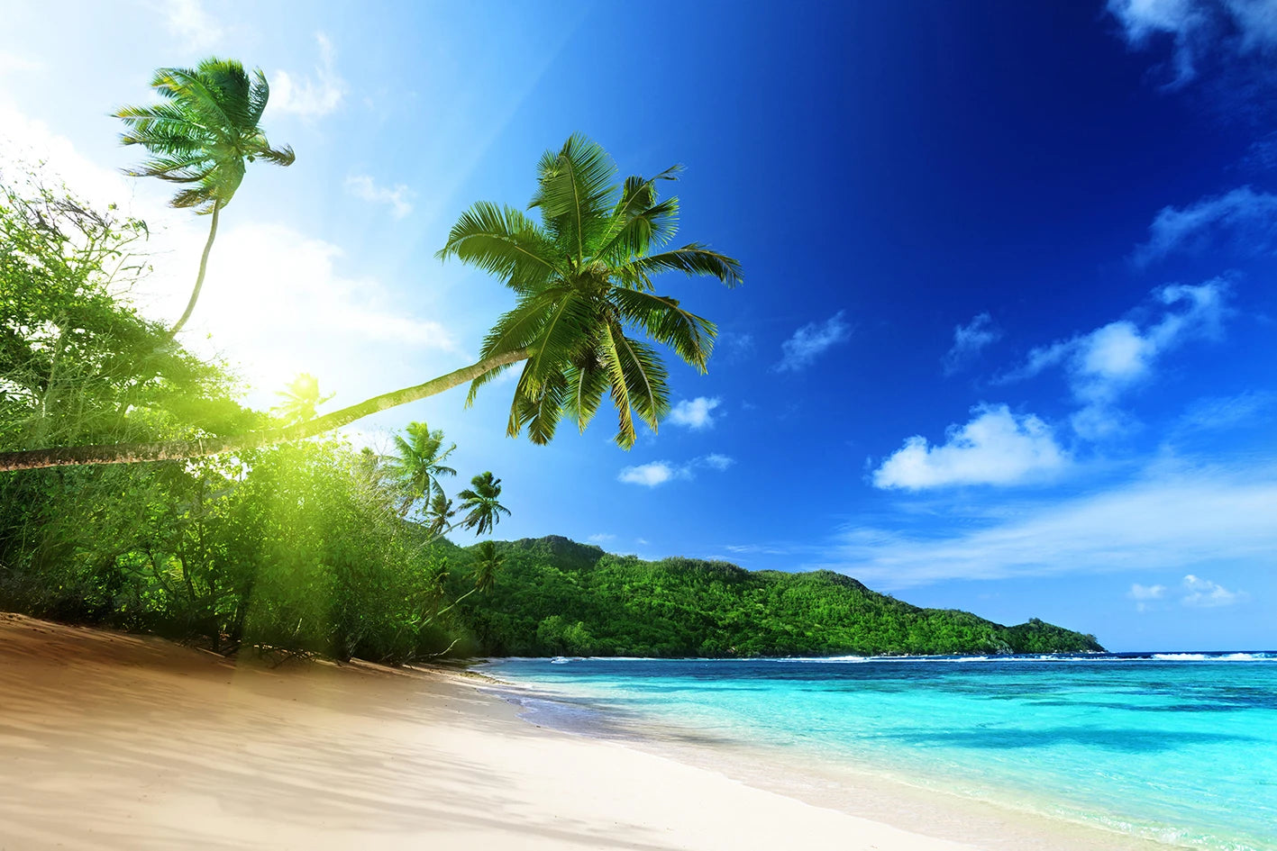 、Beach Landscape Canvas Paintings Sunset Gold Sea