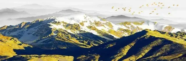 Painting Lake Forest Mountain Scenery Wall Art