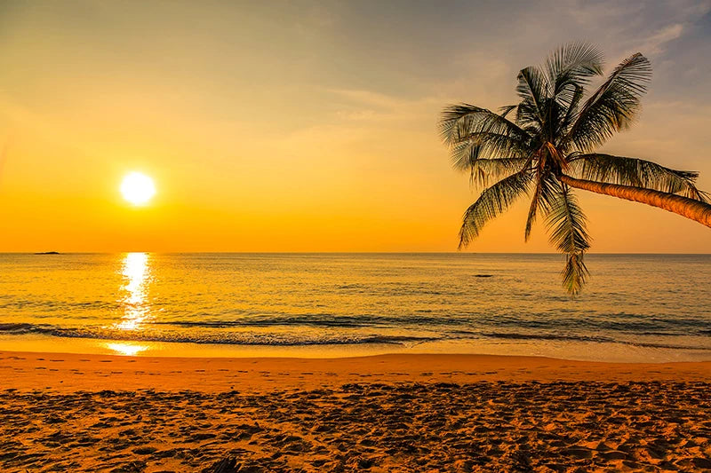 、Beach Landscape Canvas Paintings Sunset Gold Sea