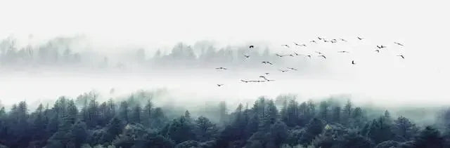 Painting Lake Forest Mountain Scenery Wall Art