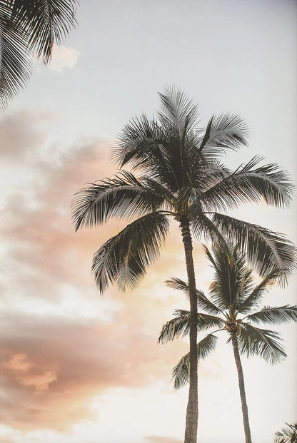 Tropical Summer Beach Shell Palm