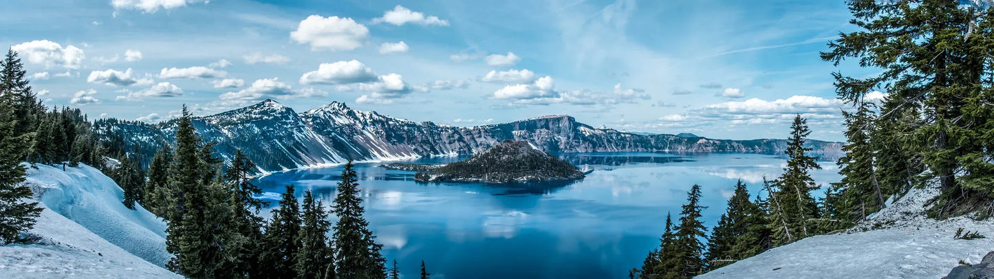 Painting Lake Forest Mountain Scenery Wall Art