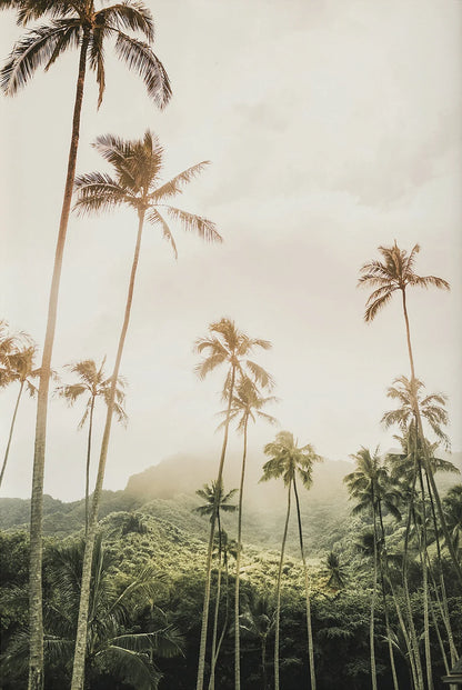 Tropical Summer Beach Shell Palm