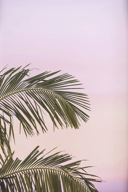 Tropical Summer Beach Shell Palm