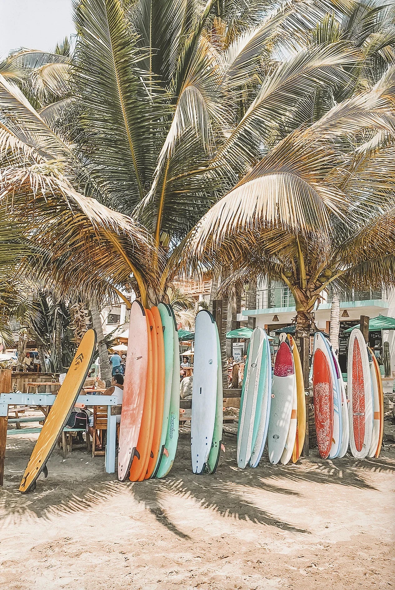 Tropical Summer Beach Shell Palm