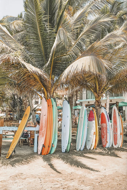 Tropical Summer Beach Shell Palm