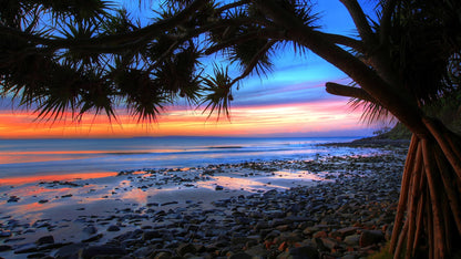 、Beach Landscape Canvas Paintings Sunset Gold Sea