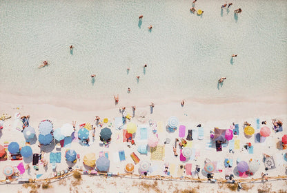 Tropical Summer Beach Shell Palm